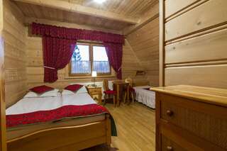 Комплексы для отдыха с коттеджами/бунгало Willa Krzesanica Косцелиско Двухместный номер с 1 кроватью и собственной ванной комнатой-1